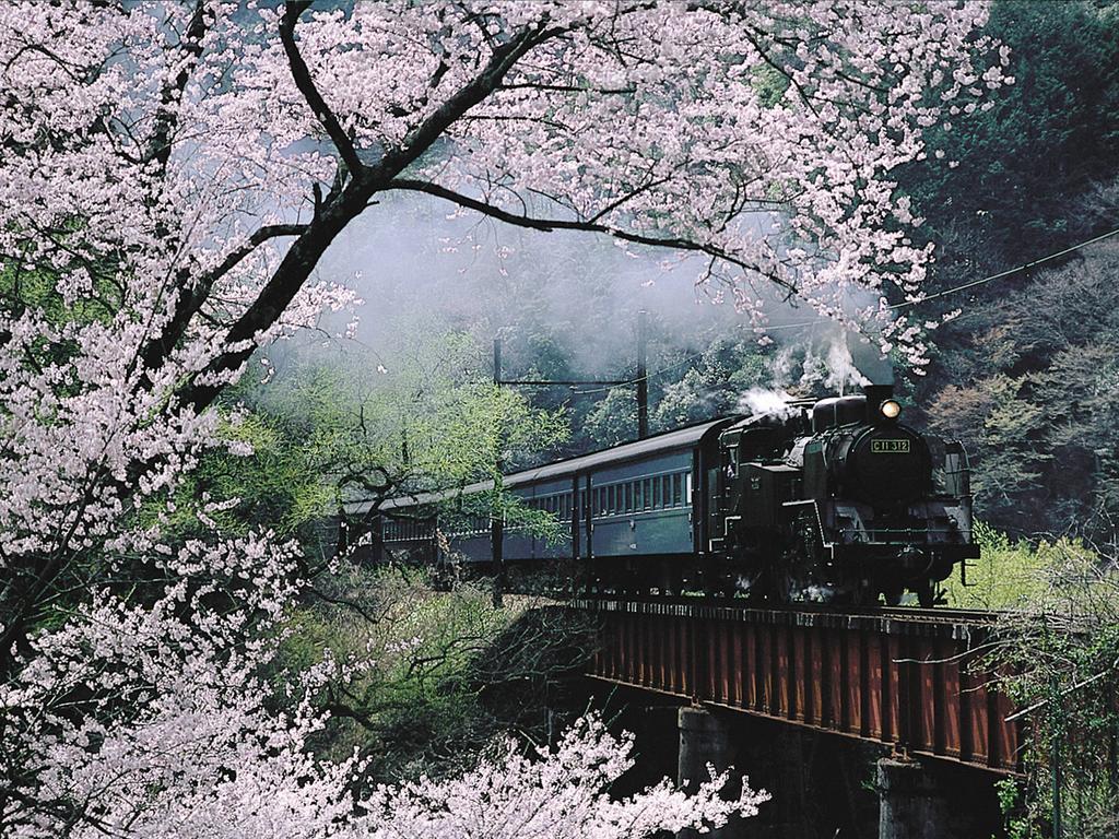Hotel Suikoen à Shizuoka Extérieur photo